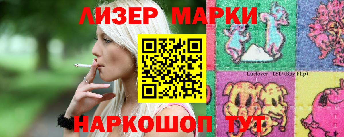 Новодвинск  ЛСД экстази кислота  Вход с VPN  кракен маркетплейс  ЛСД экстази ecstasy  Лсд 25 экстази 