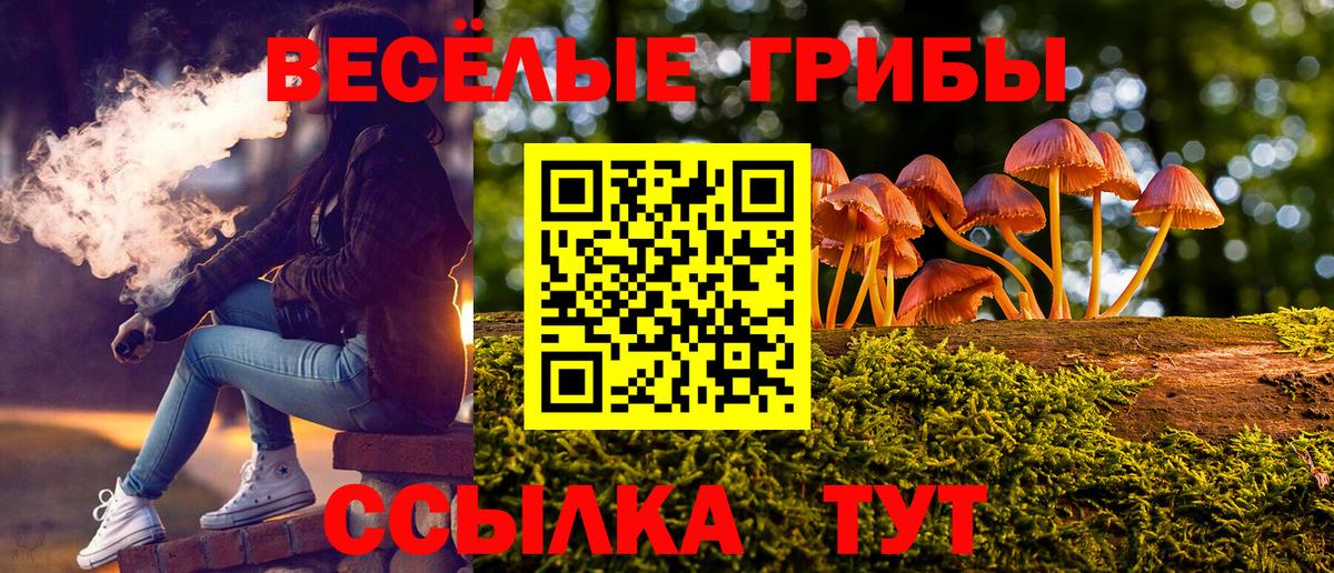 Галлюциногенные грибы мицелий Новодвинск