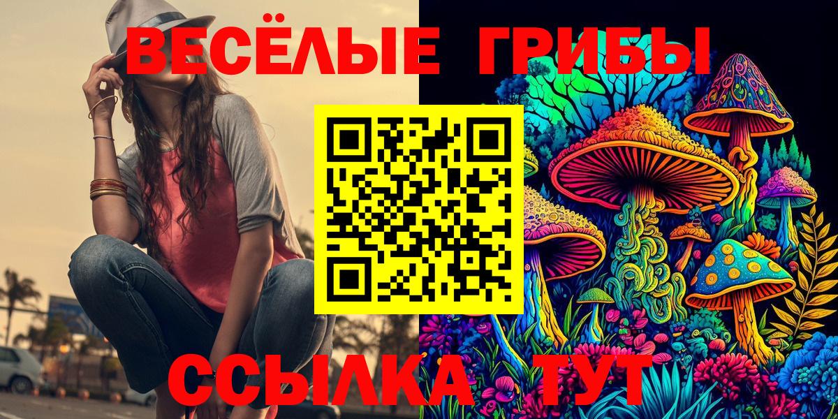 Псилоцибиновые грибы Psilocybine cubensis  Вход с VPN  Новодвинск 